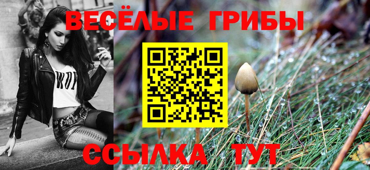 Галлюциногенные грибы мухоморы Домодедово