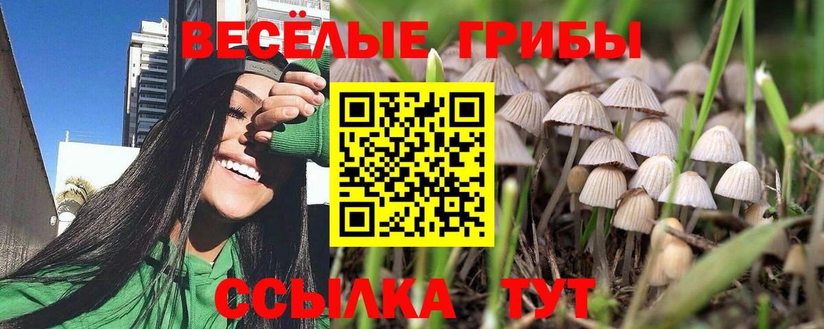 Домодедово  Псилоцибиновые грибы GOLDEN TEACHER  хочу наркоту  Псилоцибиновые грибы GOLDEN TEACHER  Вход с VPN 